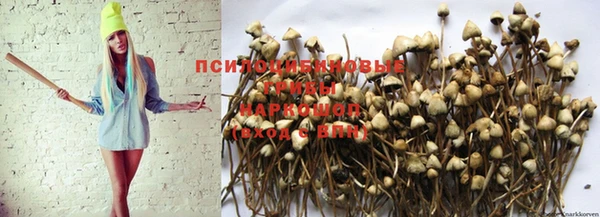 каннабис Баксан